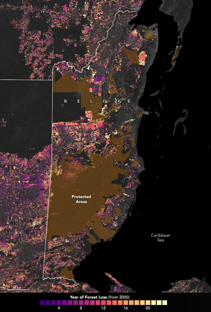 Tracking Forest Cover in Belize - related image preview