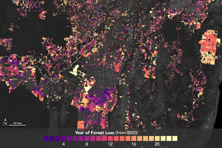 Tracking Forest Cover in Belize - related image preview