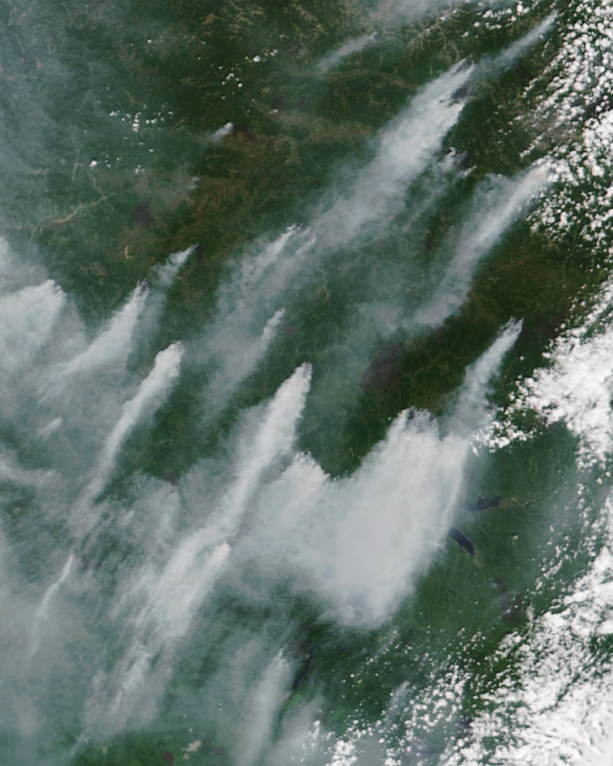 A Smoky Summer in Amur - related image preview