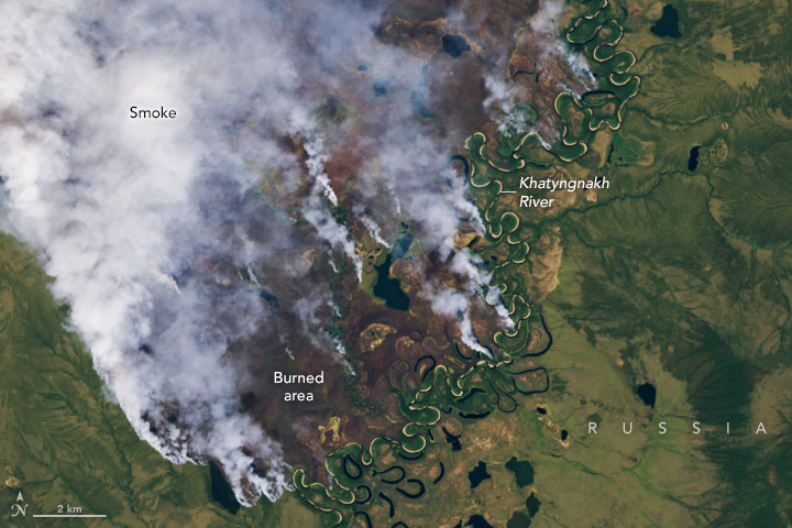 Fires Char the Siberian Arctic - related image preview