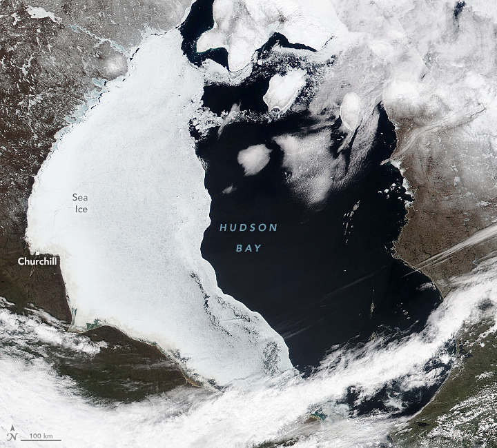 A Split Spring for Hudson Bay Sea Ice - related image preview