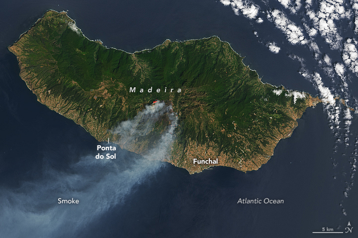 Smoke Streams from Fires in Madeira