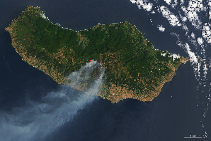 Smoke Streams from Fires in Madeira - related image preview