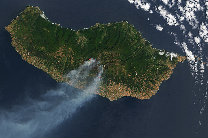 Smoke Streams from Fires in Madeira