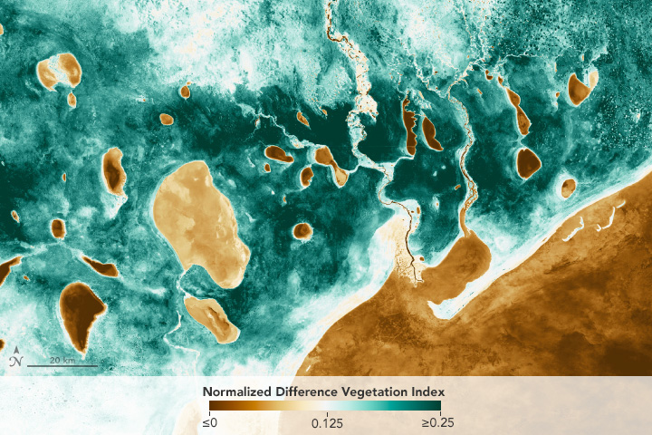 Tracking Elephants Across Namibia - related image preview