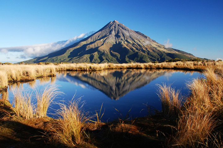 Mount Taranaki’s Ring of Forest