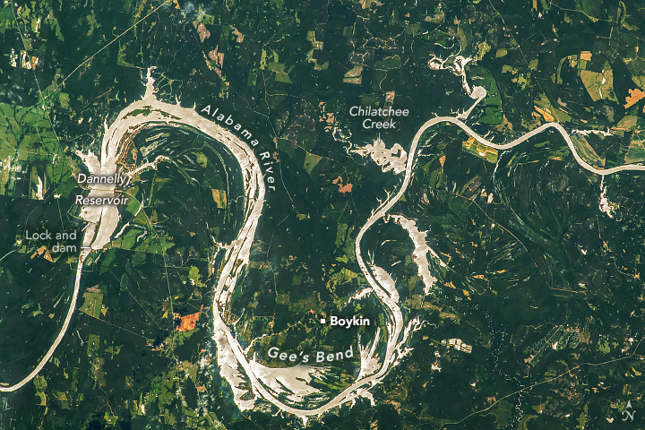 Bends of the Alabama River - related image preview