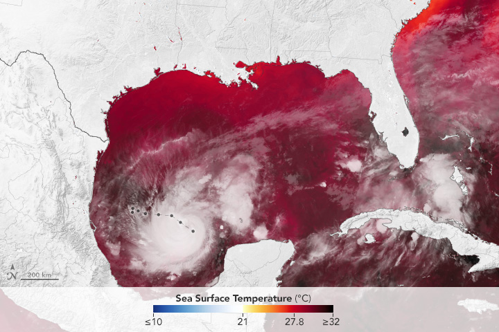 Fuel for Hurricane Milton - related image preview