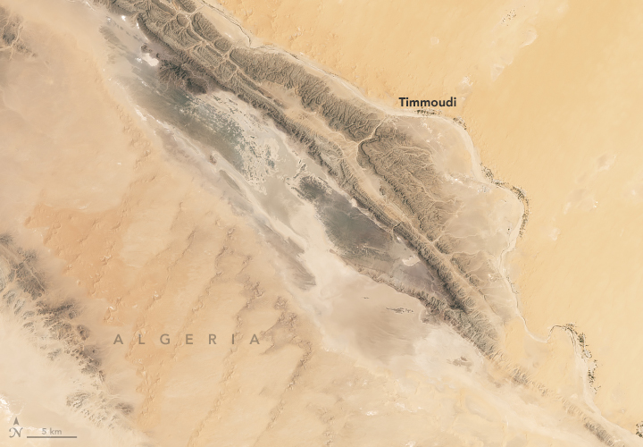 Water for a Desert Lake in Algeria - related image preview