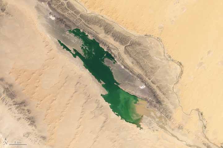 Water for a Desert Lake in Algeria - related image preview