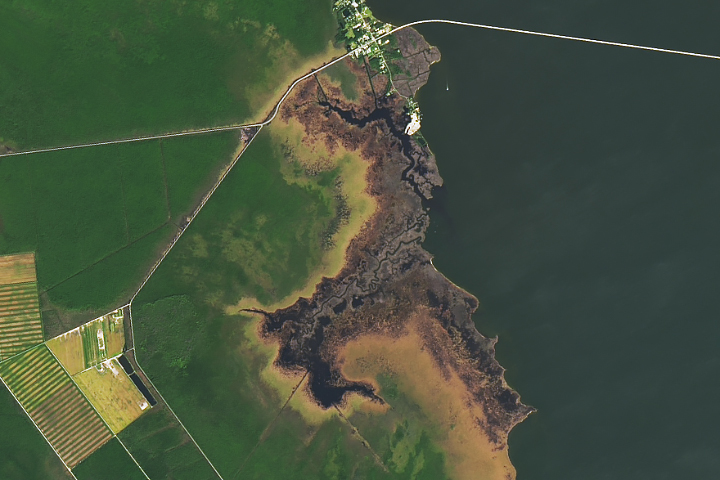 Ghost Forests Creep Into North Carolina