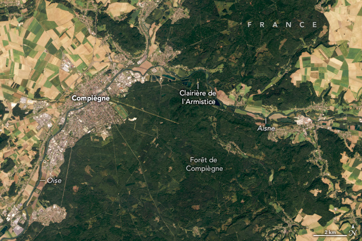 Satellite image of a forest in France showing green vegetation, a river, and towns.