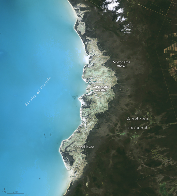 Signs of Sea Level Rise in the Bahamas - related image preview