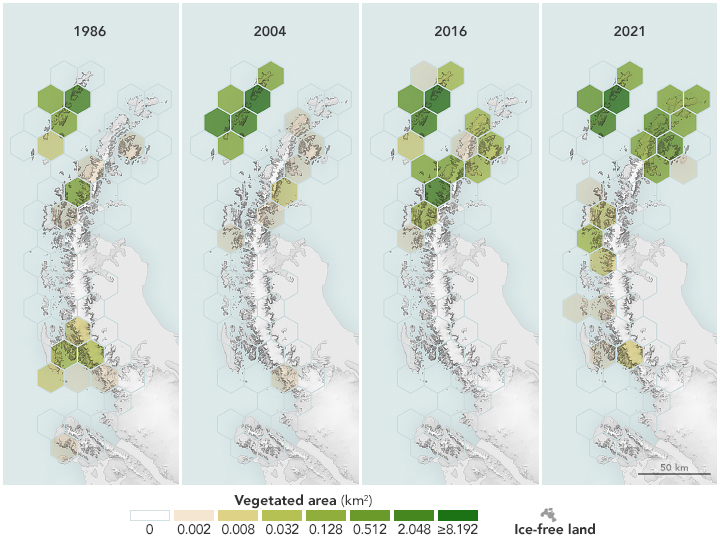 Satellites Reveal a Greener Antarctic Peninsula - related image preview