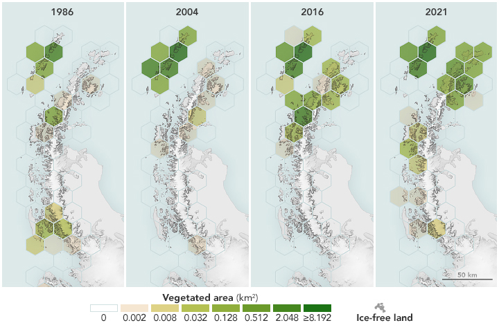 Satellites Reveal a Greener Antarctic Peninsula - related image preview