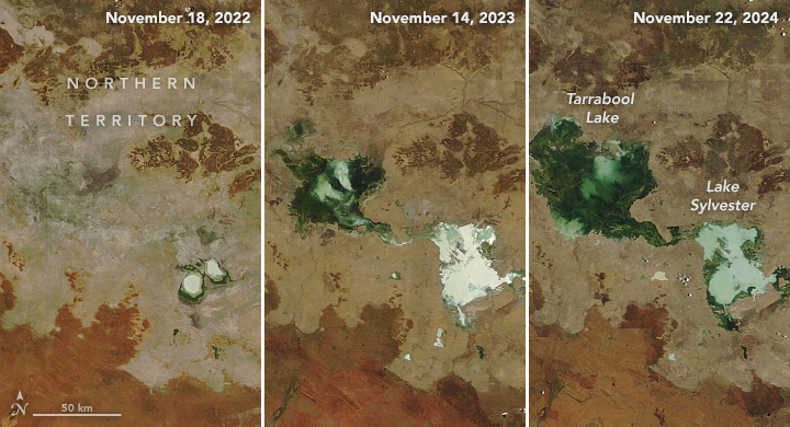 Saturated Northern Australia