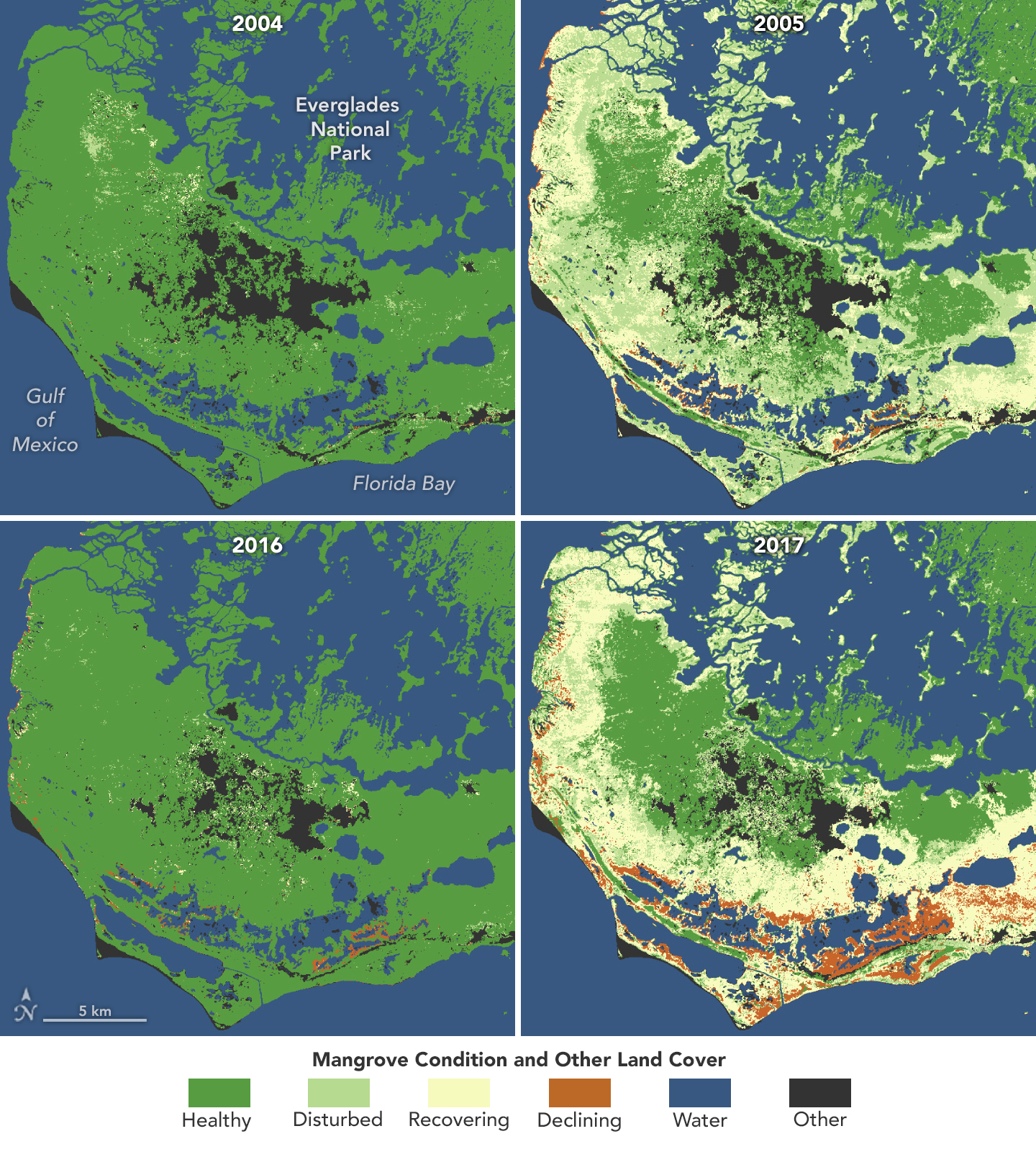 Mangroves Are Losing Their Resilience - related image preview