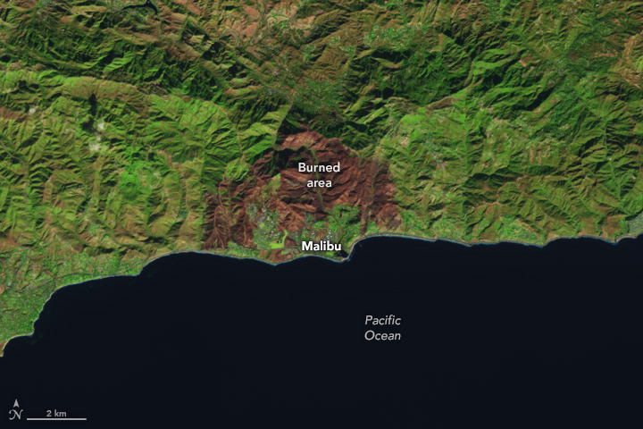 A satellite image of Malibu, California, on December 13, 2024, which shows vegetation burned from the Franklin Fire in brown and unburned vegetation in green.