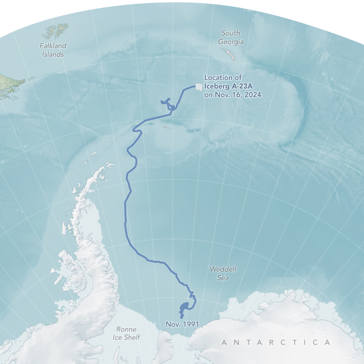 Map of the Weddell Sea and Southern Ocean includes part of West Antarctica. A blue line tracing the iceberg's path begins near the Antarctic coast in 1991, curves across the Weddell Sea, makes some tight loops in the ocean, then continues northeast to its position in November 2024.