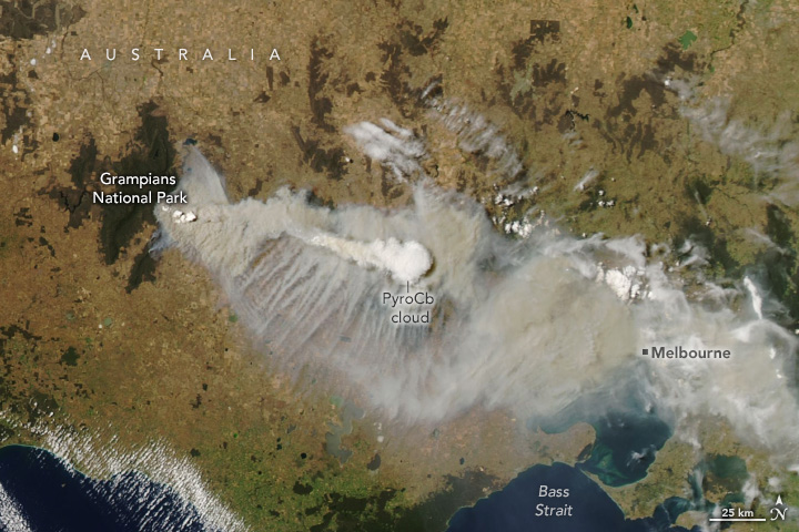 An image from the Aqua satellite shows a plume of gray smoke streaming east across Victoria toward the city of Melbourne. A puffy white cloud is visible above the main smoke layer.