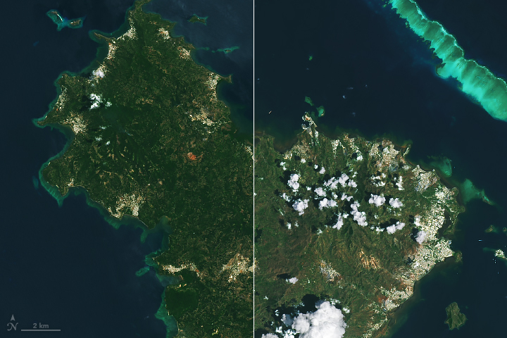 Landsat 8