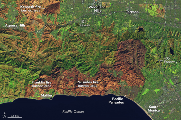 The Palisades Fire’s Footprint - related image preview