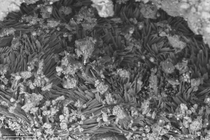 A black-and-white image captured by a microscope shows a close-up view of tiny crystals of sodium carbonate from a sample collected from the asteroid Bennu. Similar minerals are present at Searles Lake.