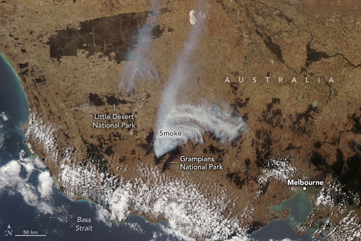 A satellite image shows western Victoria with two plumes of smoke streaming north from fires in the Grampians National Park and Little Desert National Park. The landscape below looks brown and dry.