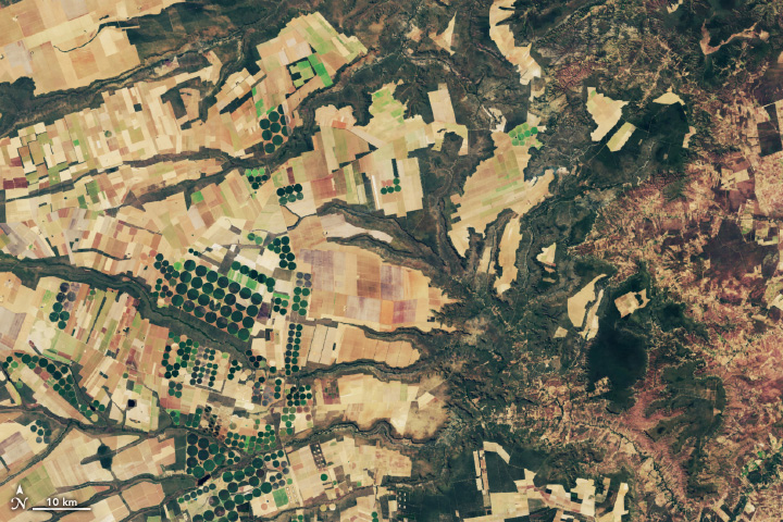 Spotting Disruptions to Earth’s Vegetation - related image preview