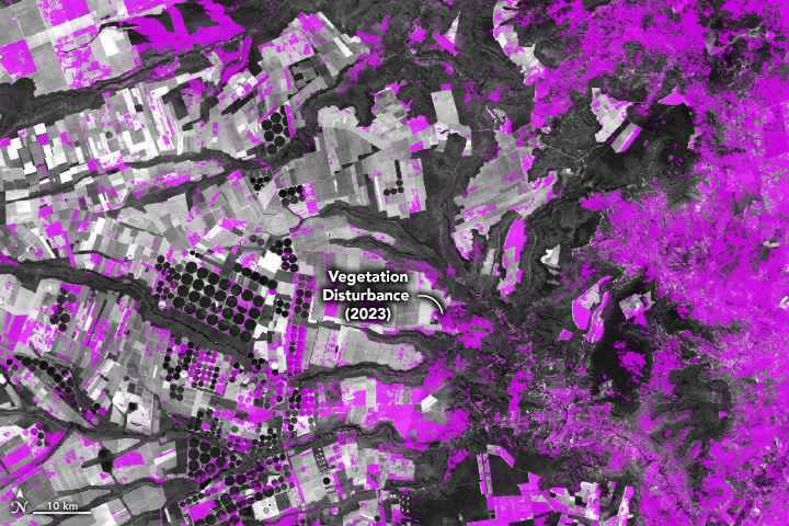 Spotting Disruptions to Earth’s Vegetation - related image preview