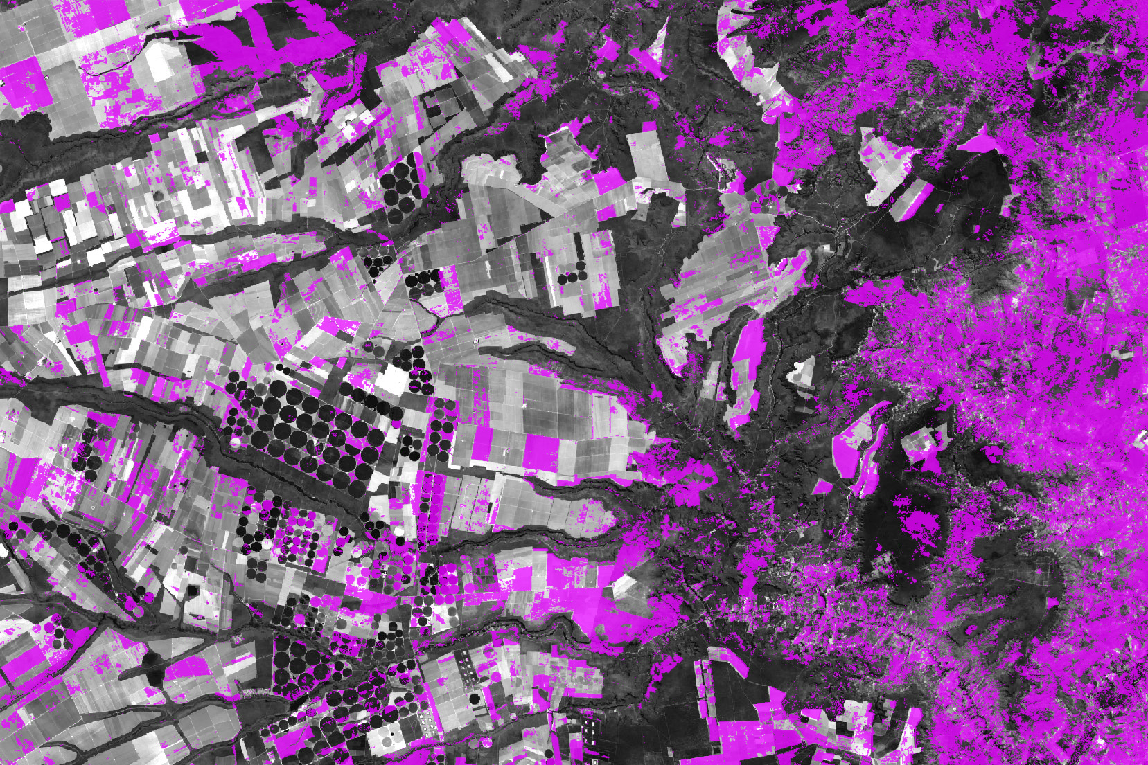 Spotting Disruptions to Earth’s Vegetation - related image preview