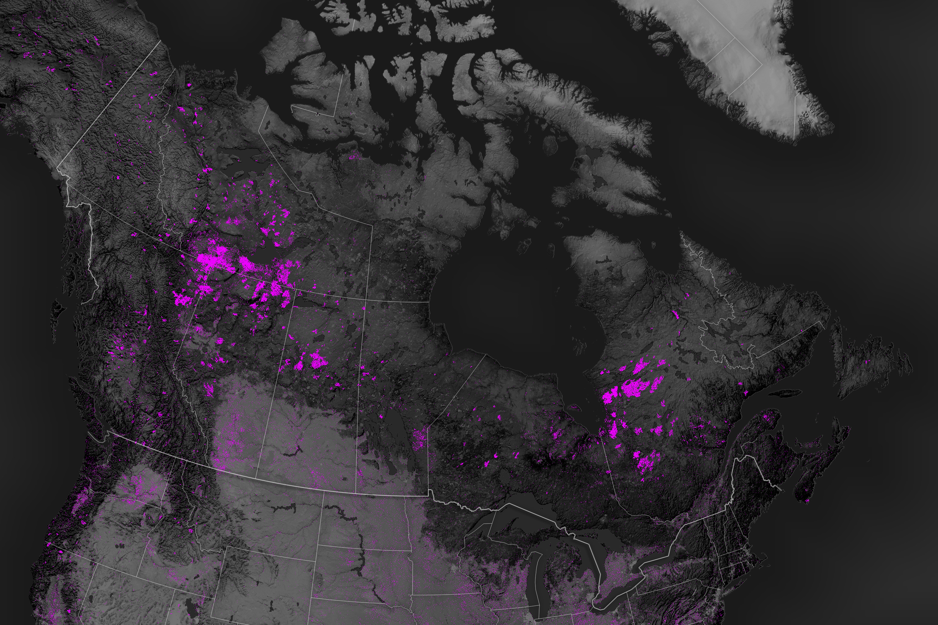 Spotting Disruptions to Earth’s Vegetation - related image preview