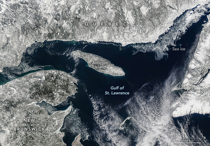 Low Ice in the Gulf of St. Lawrence - related image preview