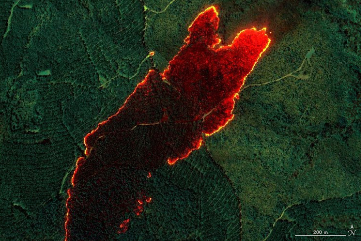Wildfire Maps Help Firefighters in Real Time - related image preview