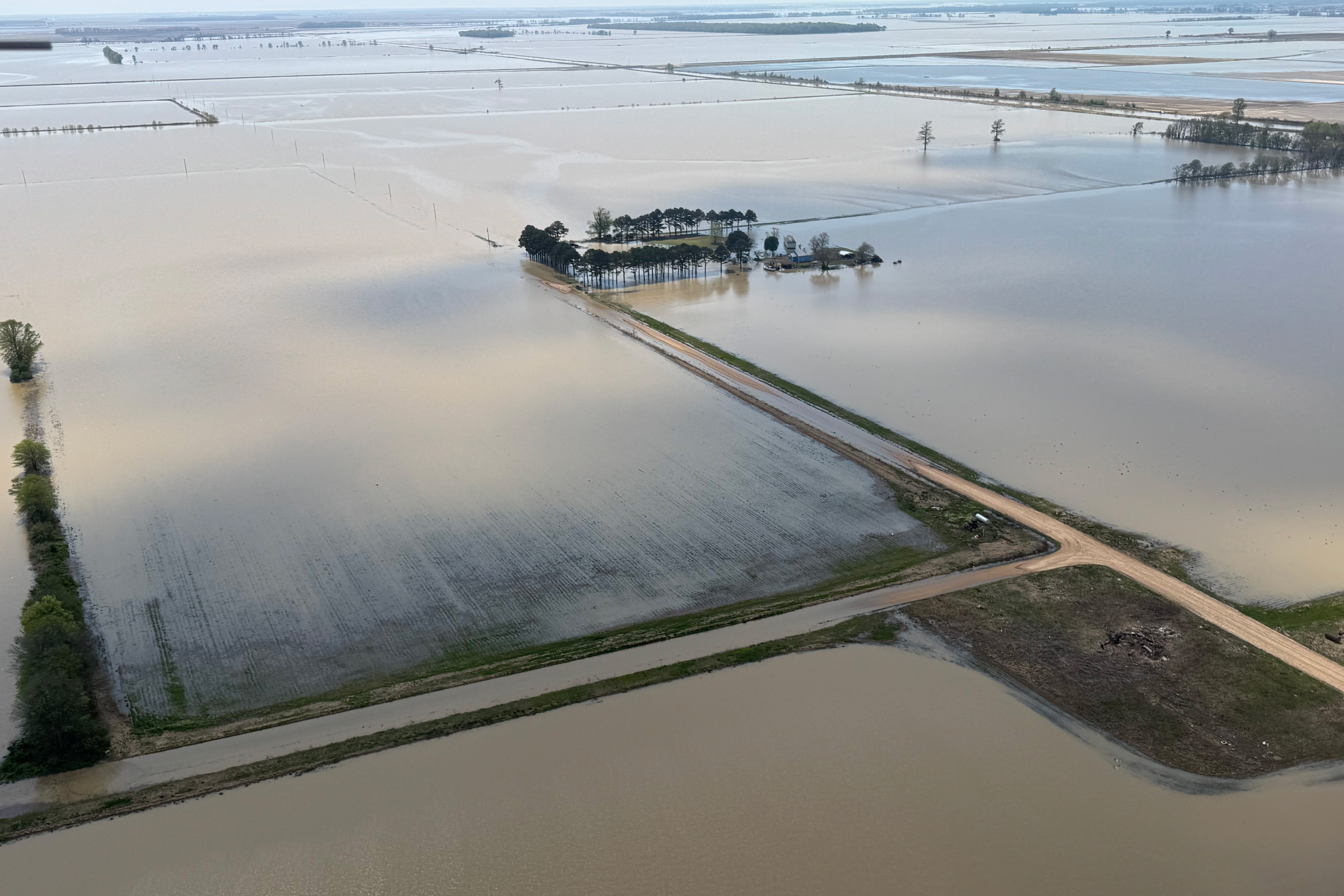 Arkansas Farmers Face Lingering Floodwaters - related image preview