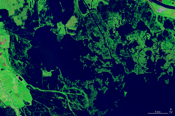 Forty Years of Change in Louisiana’s Wetlands - related image preview