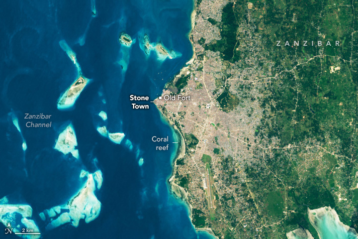 Digging Into the History of Stone Town - related image preview