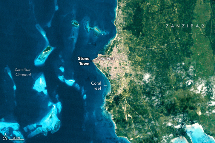 Digging Into the History of Stone Town - related image preview