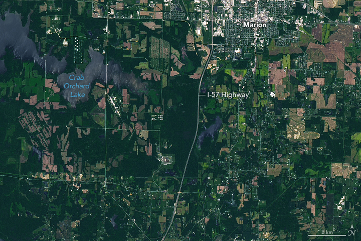 A Tornado Scars Southern Illinois - related image preview