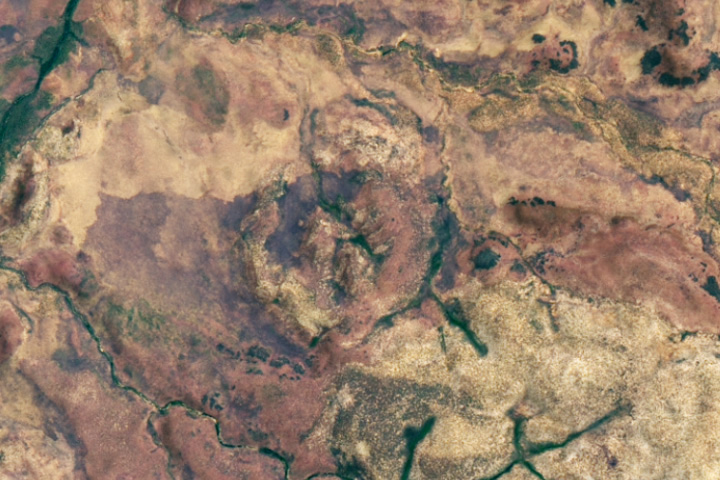 An Impact Crater Hiding in Plain Sight