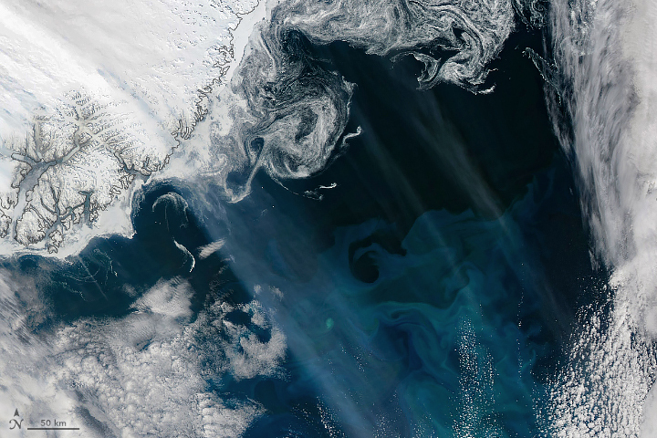 Smoky Skies and Blooming Seas - related image preview
