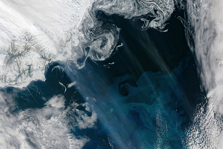 Smoky Skies and Blooming Seas