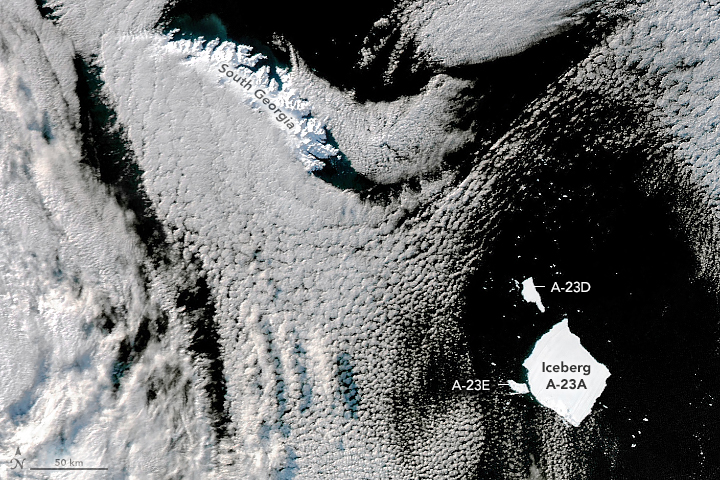 Antarctic Iceberg Downsizes - related image preview