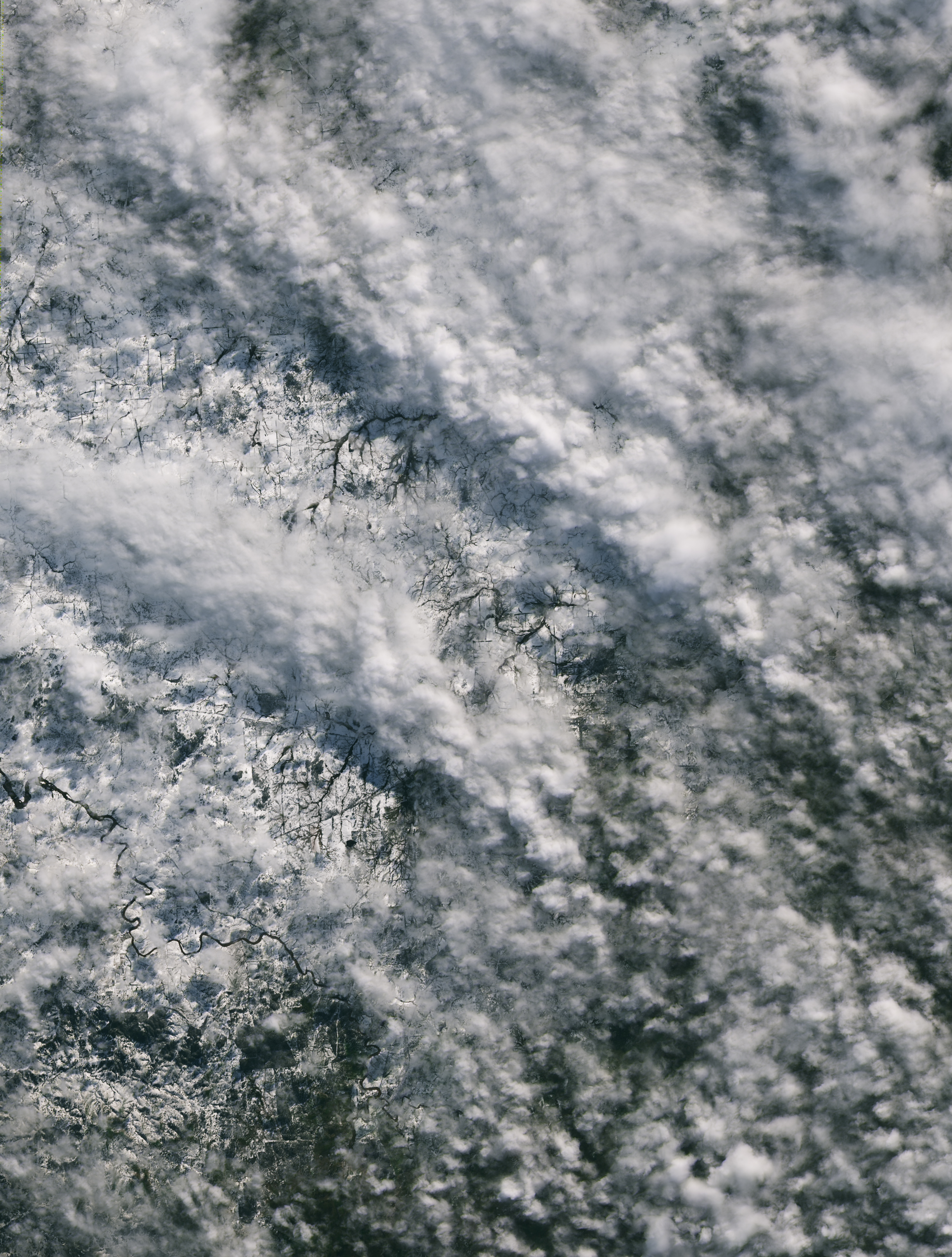 Fleeting Glimpse of Rare Snow - related image preview