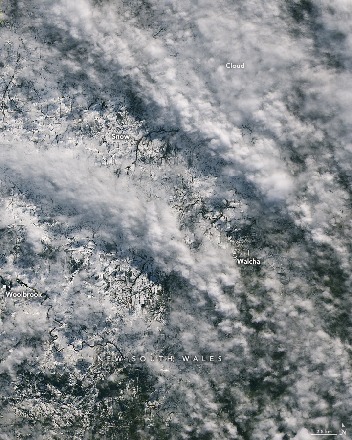 Fleeting Glimpse of Rare Snow - related image preview