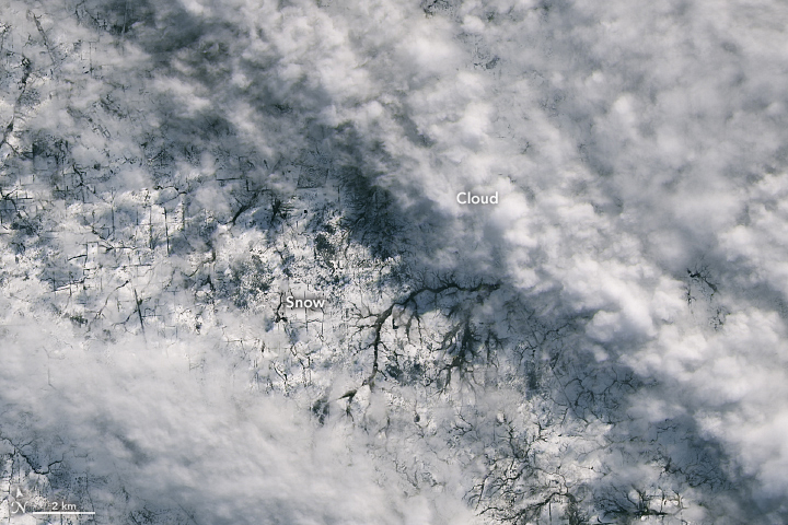 Fleeting Glimpse of Rare Snow - related image preview