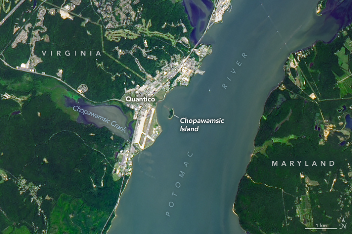 The Potomac Island Where History Took Flight - related image preview