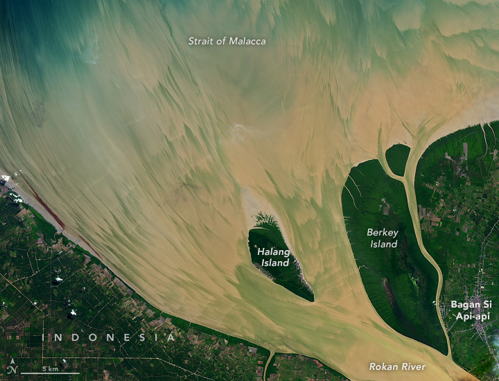 Rokan River Painted by the Tides - related image preview