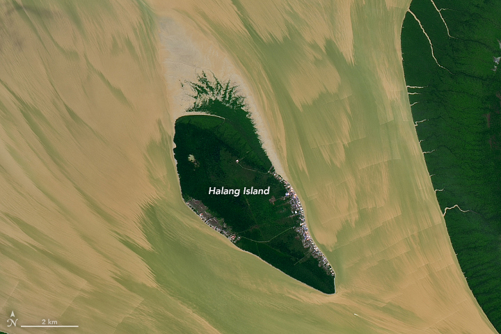 Rokan River Painted by the Tides - related image preview