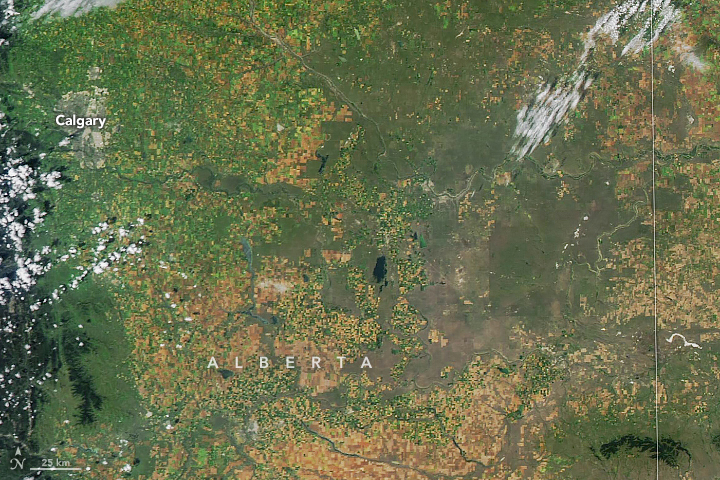 Hail Scars Alberta Farmland - related image preview